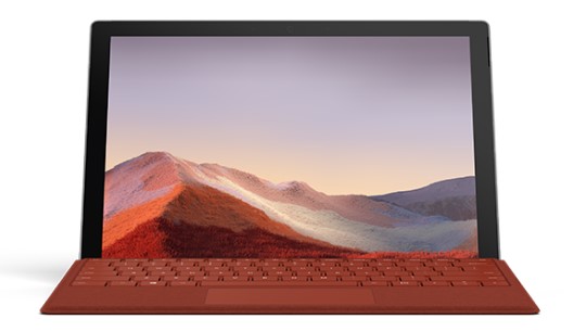 双峰清洁和维护 Surface